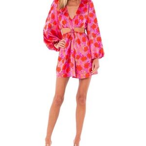 Show Me Your MuMu Pink and Red Floral Dress